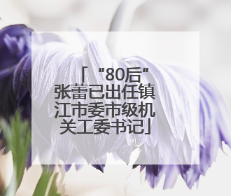 “80后”张蕾已出任镇江市委市级机关工委书记