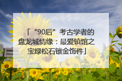 “90后”考古学者的盘龙城情缘：最爱镇馆之宝绿松石镶金饰件