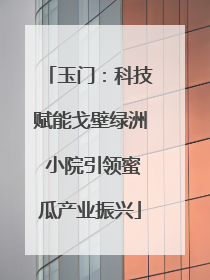 玉门：科技赋能戈壁绿洲 小院引领蜜瓜产业振兴