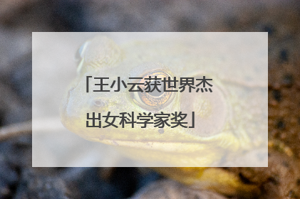 王小云获世界杰出女科学家奖