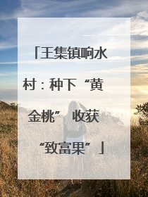 王集镇响水村：种下“黄金桃” 收获“致富果”