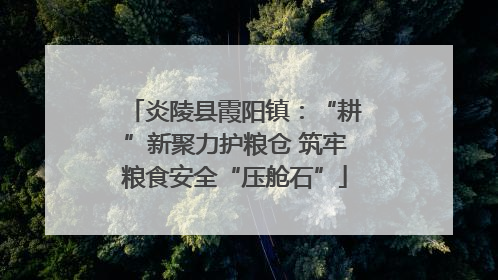 炎陵县霞阳镇：“耕”新聚力护粮仓 筑牢粮食安全“压舱石”