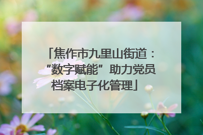 焦作市九里山街道：“数字赋能”助力党员档案电子化管理
