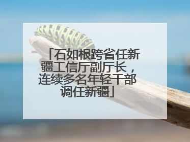 石如根跨省任新疆工信厅副厅长，连续多名年轻干部调任新疆