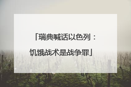 瑞典喊话以色列：饥饿战术是战争罪
