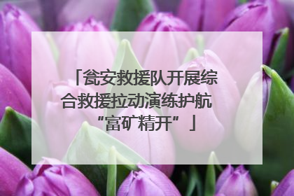 瓮安救援队开展综合救援拉动演练护航“富矿精开”