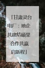 甘肃灵台电厂：地企共建结硕果 合作共赢启新程