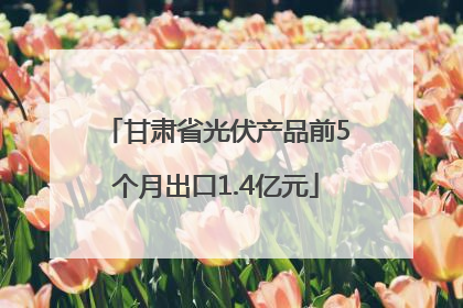 甘肃省光伏产品前5个月出口1.4亿元