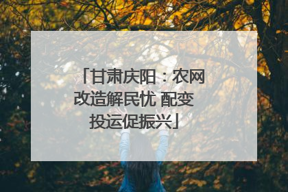 甘肃庆阳：农网改造解民忧 配变投运促振兴