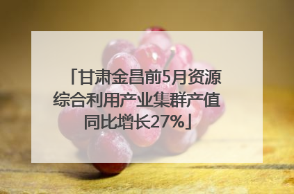甘肃金昌前5月资源综合利用产业集群产值同比增长27%