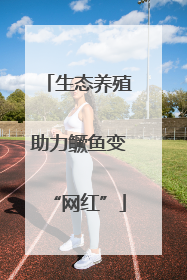 生态养殖助力鳜鱼变“网红”