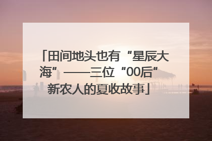 田间地头也有“星辰大海”——三位“00后”新农人的夏收故事