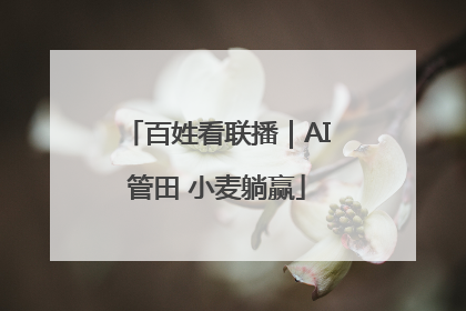 百姓看联播｜AI管田 小麦躺赢