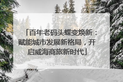 百年老码头蝶变焕新：赋能城市发展新格局，开启威海商旅新时代