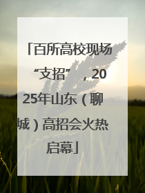 百所高校现场“支招”，2025年山东（聊城）高招会火热启幕