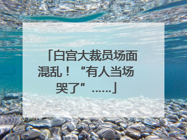 白宫大裁员场面混乱！“有人当场哭了”……
