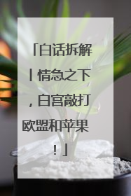 白话拆解丨情急之下，白宫敲打欧盟和苹果！