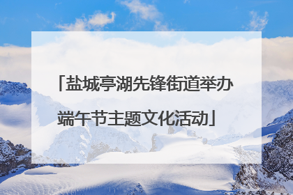 盐城亭湖先锋街道举办端午节主题文化活动