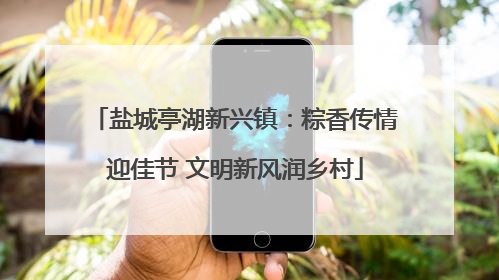 盐城亭湖新兴镇：粽香传情迎佳节 文明新风润乡村