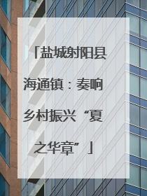 盐城射阳县海通镇：奏响乡村振兴“夏之华章”