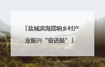 盐城滨海擂响乡村产业振兴“奋进鼓”