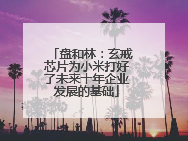 盘和林：玄戒芯片为小米打好了未来十年企业发展的基础