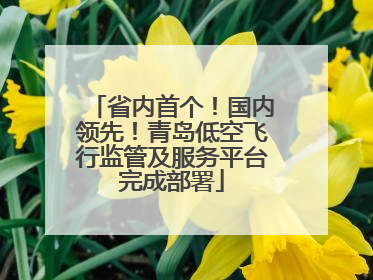 省内首个！国内领先！青岛低空飞行监管及服务平台完成部署