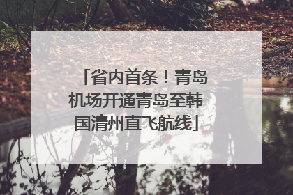 省内首条！青岛机场开通青岛至韩国清州直飞航线