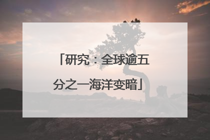研究：全球逾五分之一海洋变暗