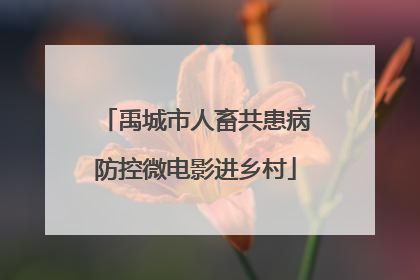 禹城市人畜共患病防控微电影进乡村