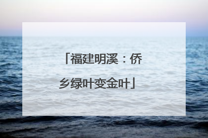 福建明溪：侨乡绿叶变金叶