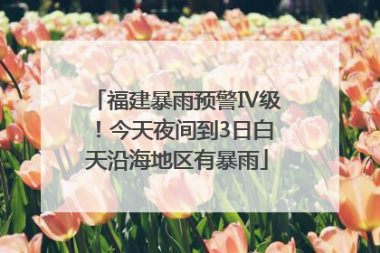 福建暴雨预警Ⅳ级！今天夜间到3日白天沿海地区有暴雨