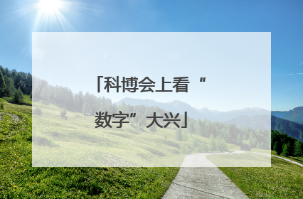 科博会上看“数字”大兴