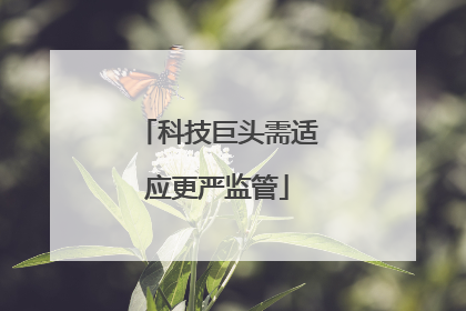 科技巨头需适应更严监管