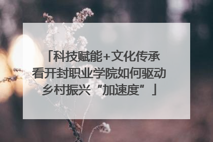 科技赋能+文化传承 看开封职业学院如何驱动乡村振兴“加速度”