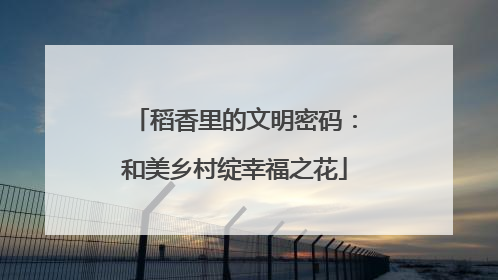 稻香里的文明密码：和美乡村绽幸福之花