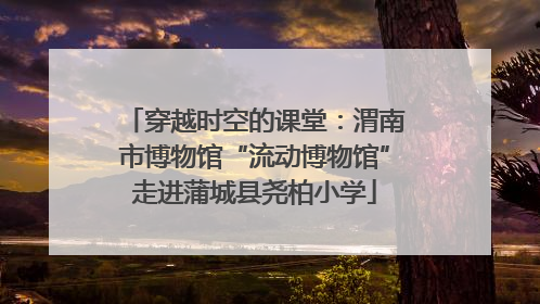 穿越时空的课堂：渭南市博物馆“流动博物馆”走进蒲城县尧柏小学