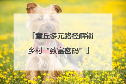 章丘多元路径解锁乡村“致富密码”
