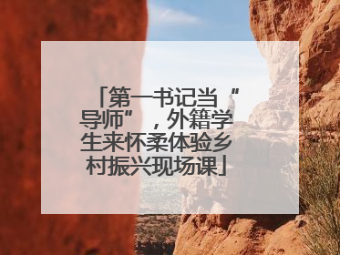 第一书记当“导师”，外籍学生来怀柔体验乡村振兴现场课