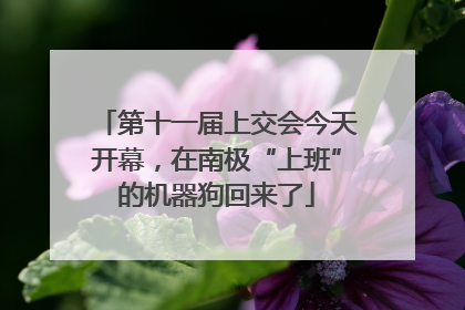 第十一届上交会今天开幕，在南极“上班”的机器狗回来了
