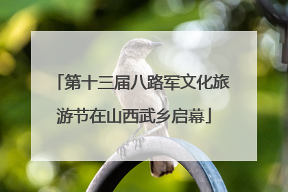 第十三届八路军文化旅游节在山西武乡启幕