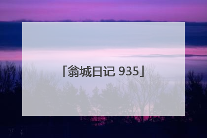 翁城日记 935