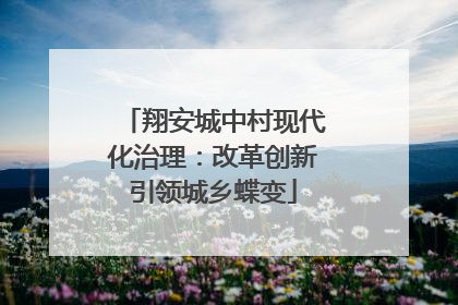 翔安城中村现代化治理：改革创新引领城乡蝶变
