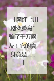 网红“川剧变脸鸟”骗了千万网友！它的真身竟是……