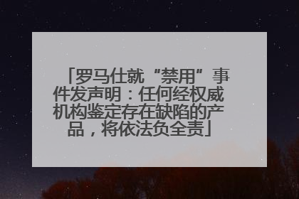 罗马仕就“禁用”事件发声明：任何经权威机构鉴定存在缺陷的产品，将依法负全责