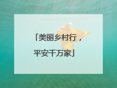美丽乡村行，平安千万家