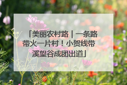 美丽农村路｜一条路带火一片村！小贺线带溪望谷成团出道