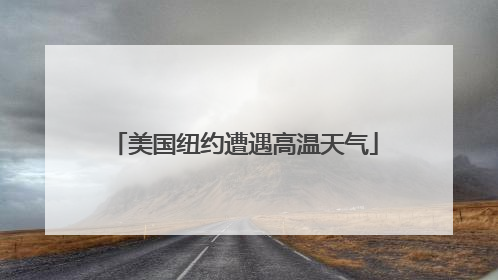 美国纽约遭遇高温天气
