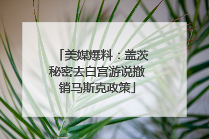 美媒爆料：盖茨秘密去白宫游说撤销马斯克政策