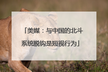 美媒：与中国的北斗系统脱钩是短视行为